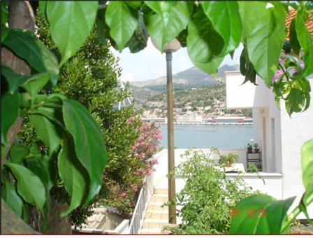 Apartments Vila Dana Dubrovnik Kültér fotó