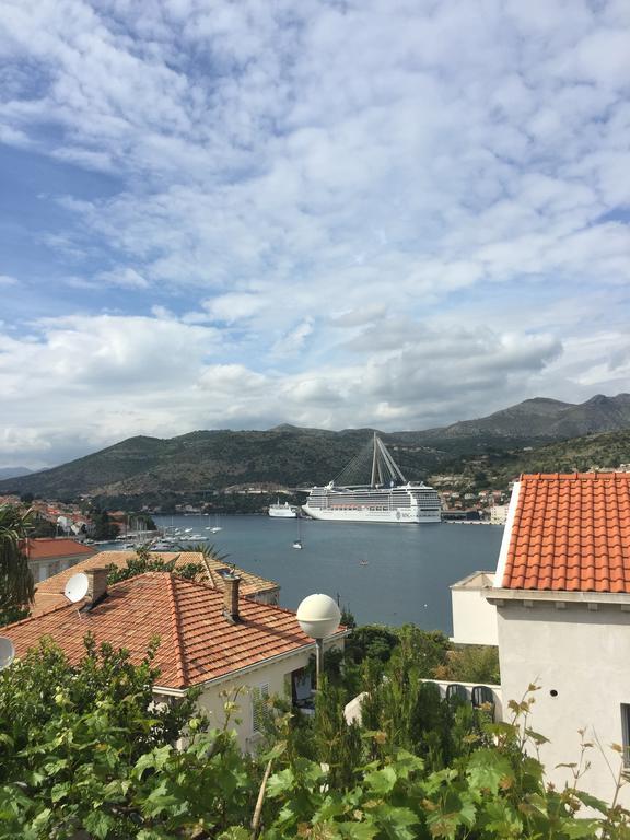 Apartments Vila Dana Dubrovnik Kültér fotó